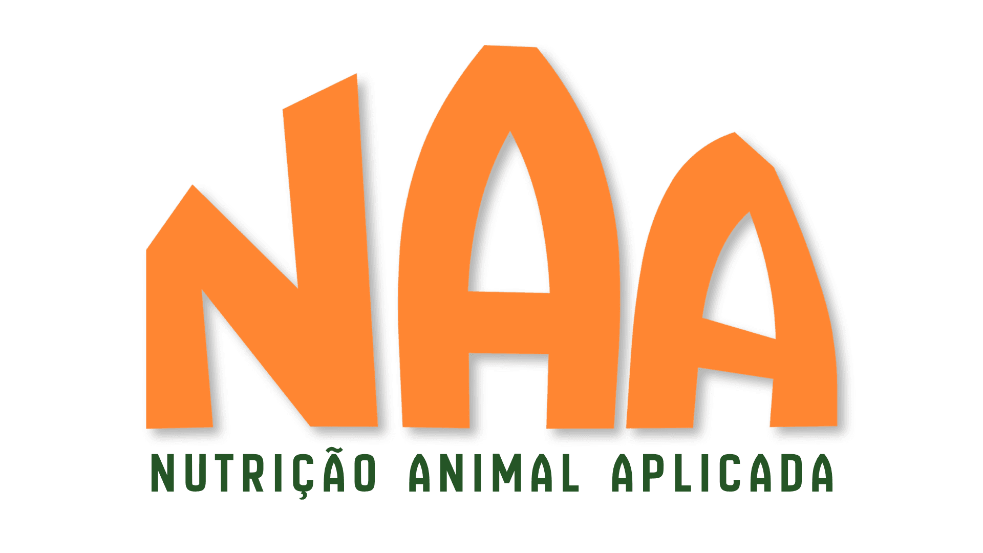 NAA Summit