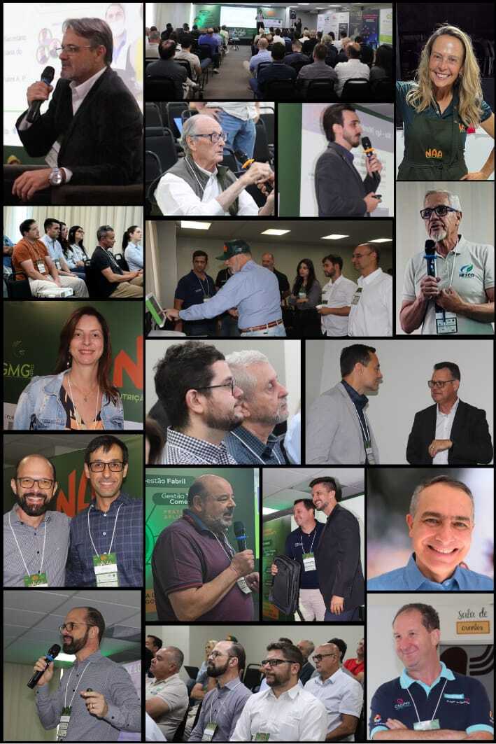 Network e Conhecimento