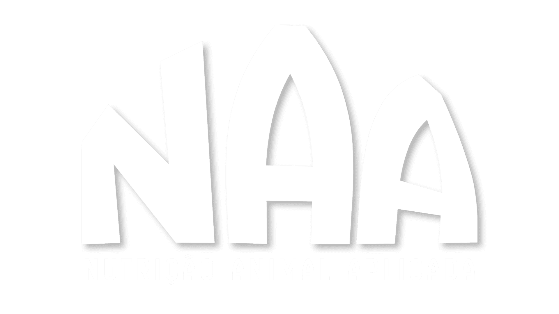 NAA Summit Logo